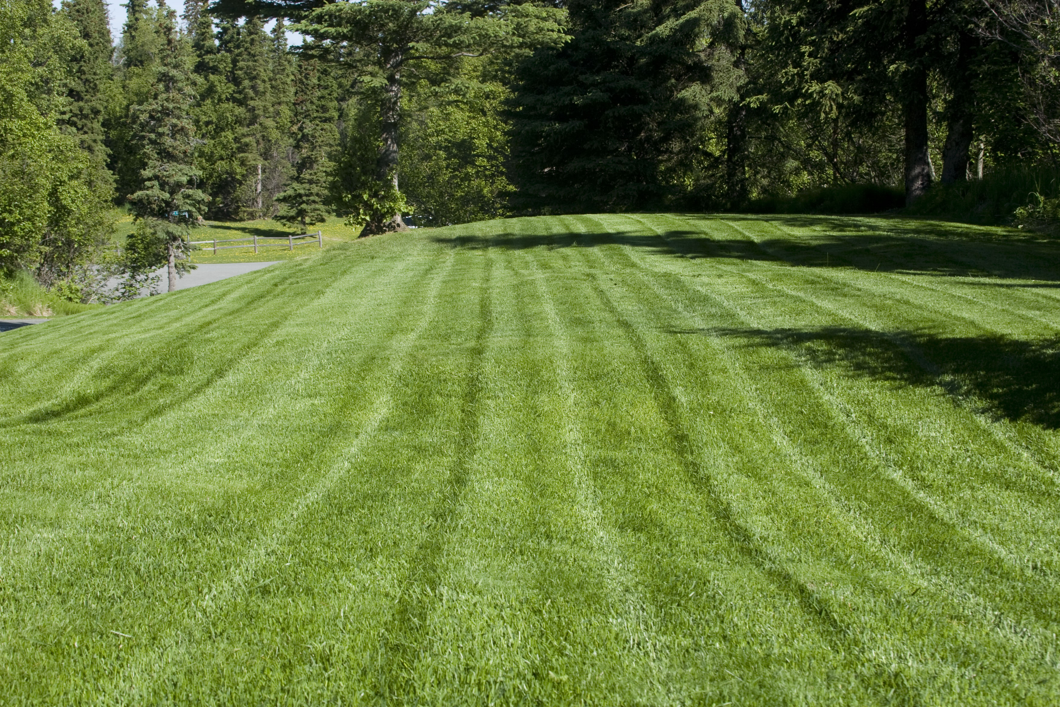 Sipes Lawn Care York PA — Yard transformation