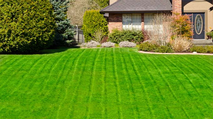 Sipes Lawn Care York PA — Residential results