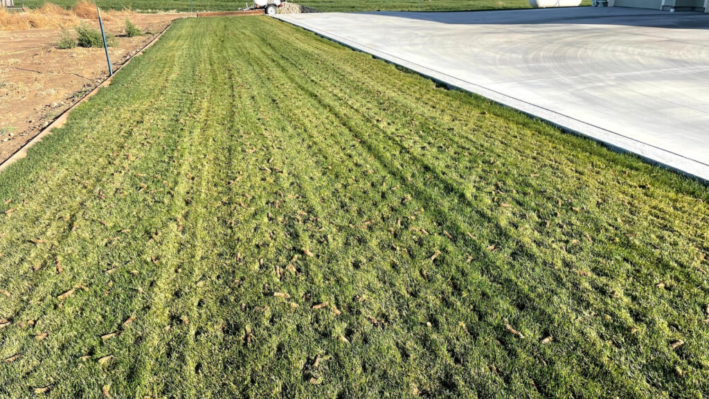 Professional lawn aeration service — Sipes Lawn Care York PA