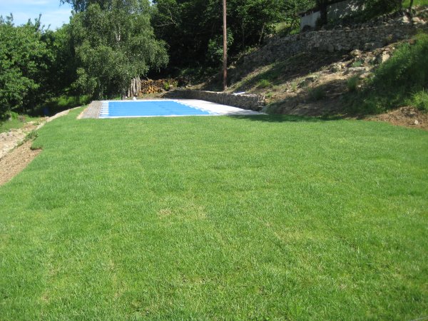 Sipes Lawn Care York PA — Fresh lawn June